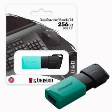 USB 256 KINGSTON